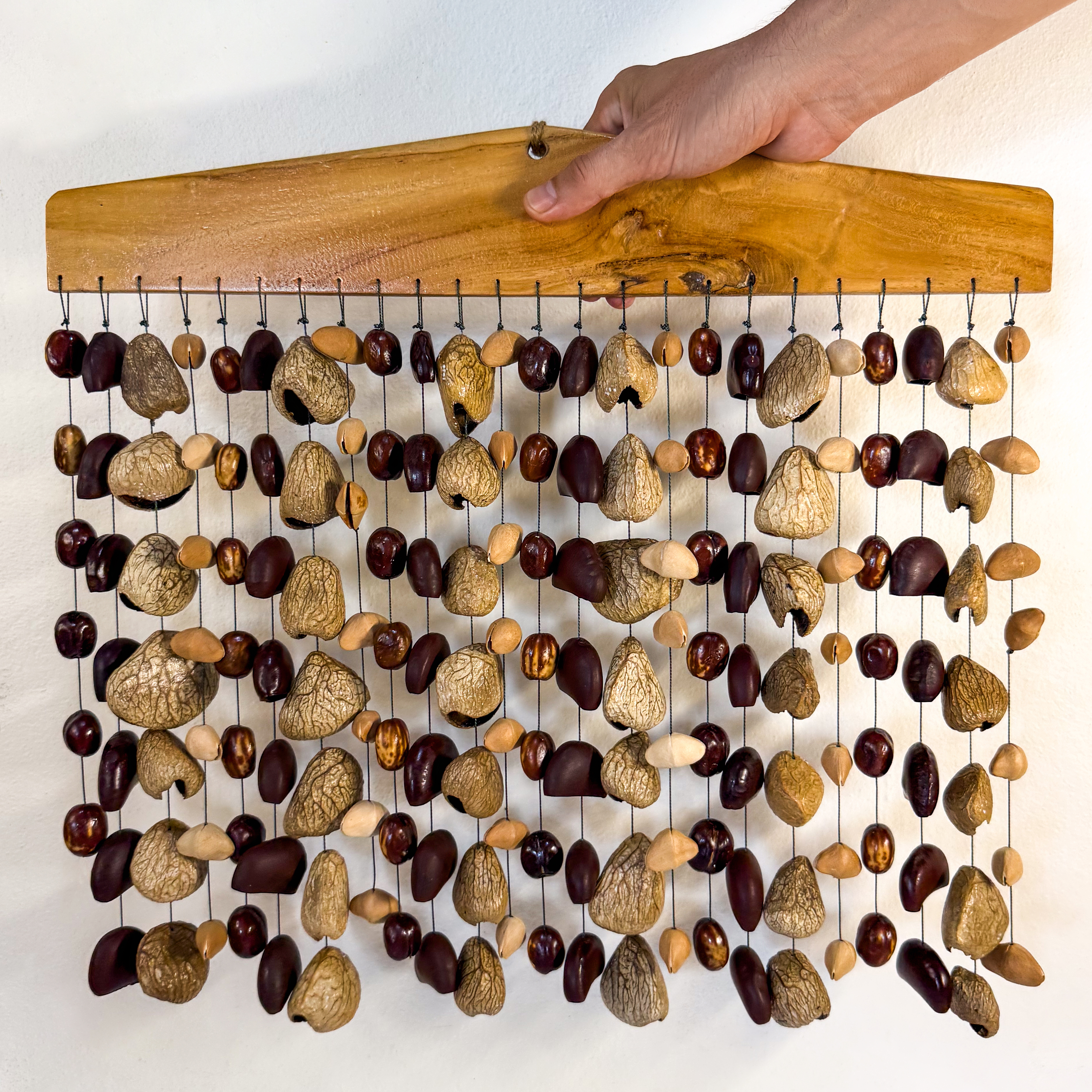 Seed Shells Bar